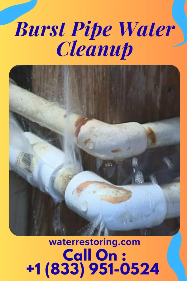 Burst Pipe Water Cleanup in Pine Knoll Shores, NC