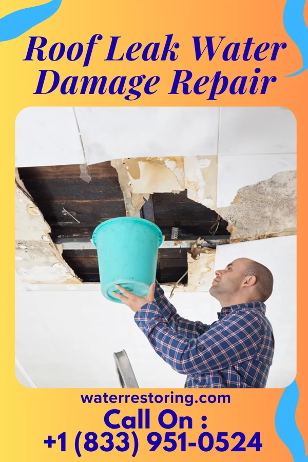 Roof Leak Water Damage Repair in Pine Knoll Shores, NC
