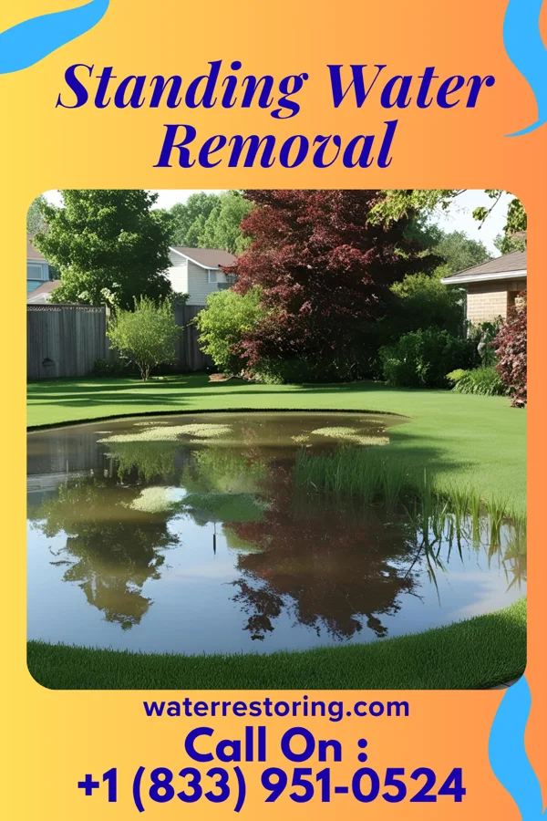 Standing Water Removal in Pine Knoll Shores, NC
